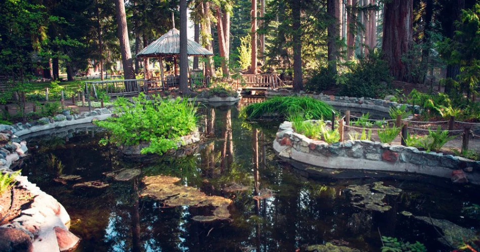 24 Hours in South Lake Tahoe: The Perfect One-Day Itinerary