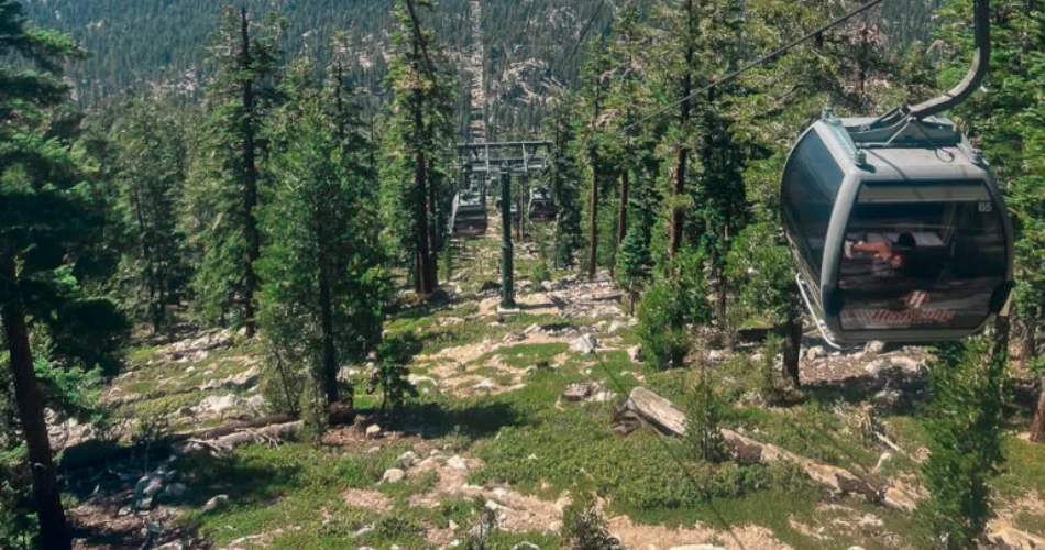 Things to Do in South Lake Tahoe Besides Skiing