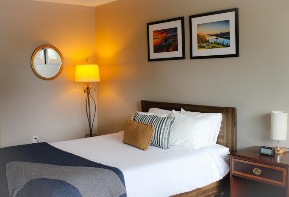 The Alder Inn Main image