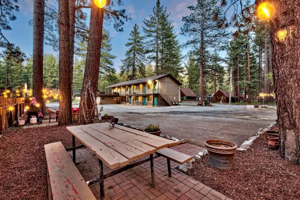 The Alder Inn image 50
